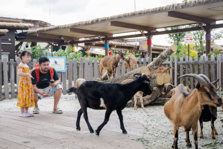 Image of rainforest kidzworld Singapore zoo