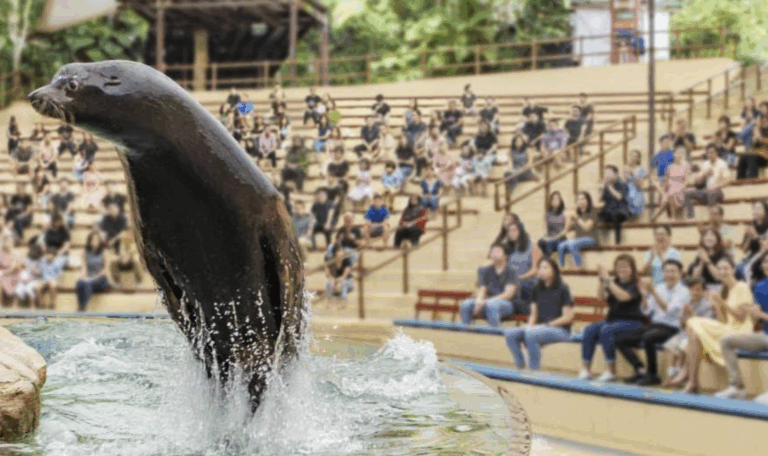 Image of splash safari