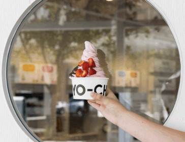 Yo-Chi Frozen Yoghurt Orchard Singapore