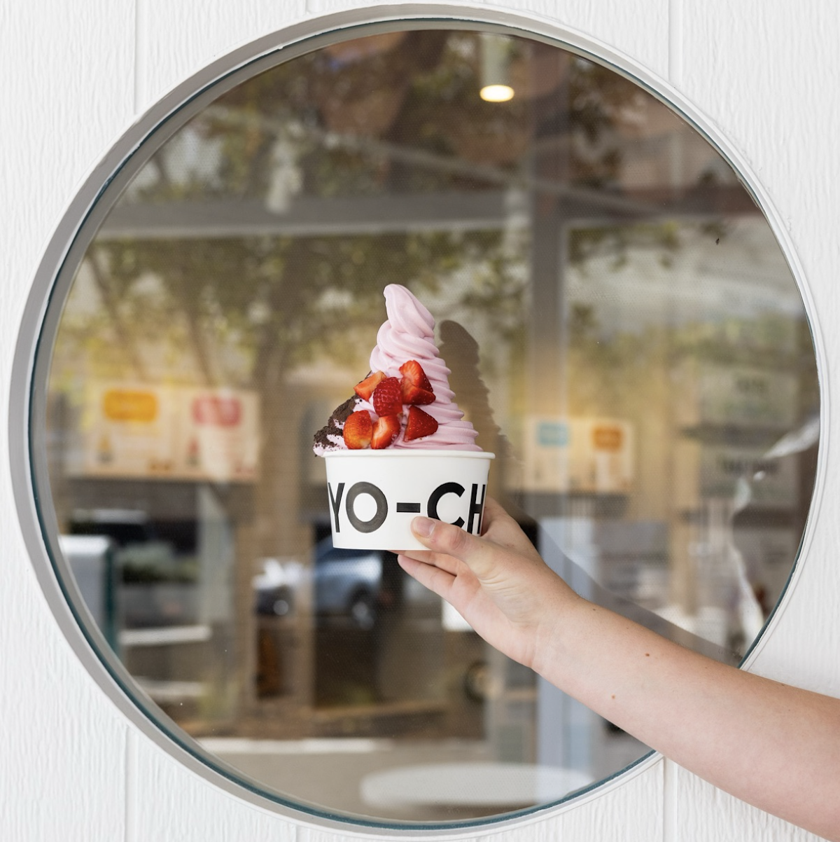 Yo-Chi Frozen Yoghurt Orchard Singapore