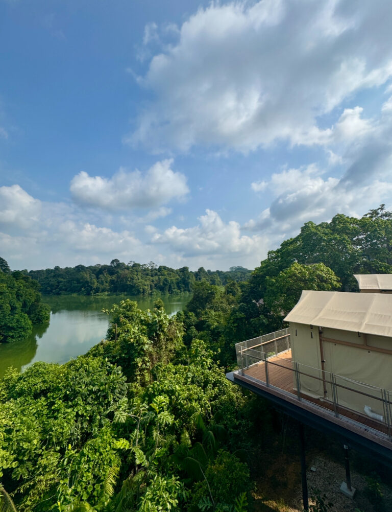Colugo Camp Glamping Staycations At Mandai In Singapore
