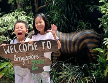 Singapore Zoo With Kids: 5 Best Things To Do For Families