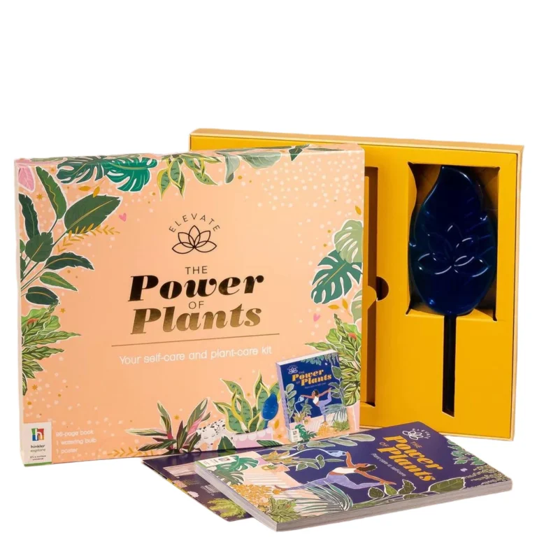 Honeyspree Power of Plants Self Care Plant Kit Singapore