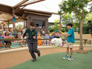 Image of boy helping at show at Singapore Zoo