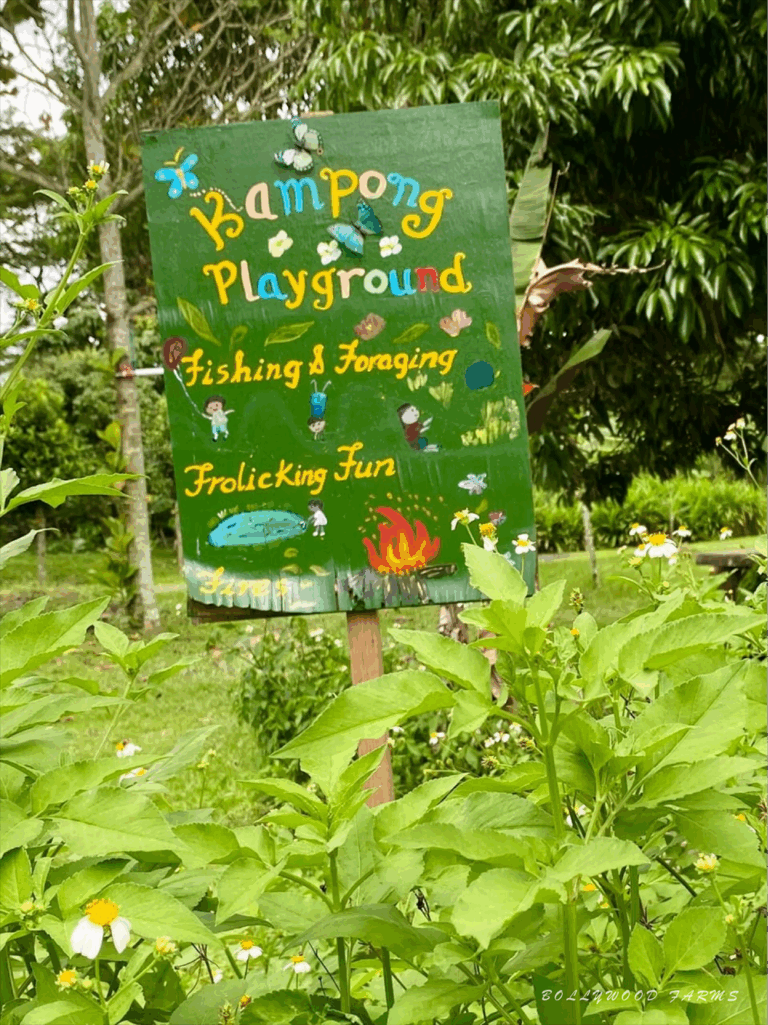 Bollywood Farms Singapore
