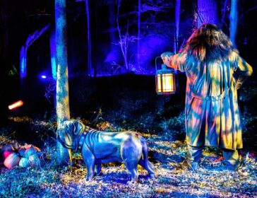 Harry Potter: A Forbidden Forest Experience