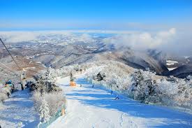 Yongpyong The Ultimate Cheat Sheet For Incredible Skiing Destinations Across The World Little Steps