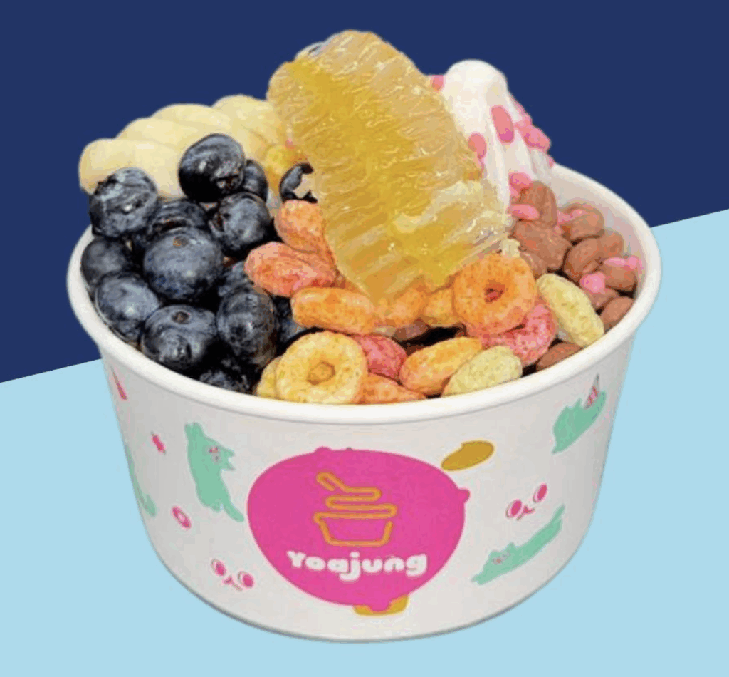 Yoajung Frozen Yogurt Orchard Singapore