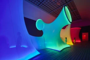dream rooms m+