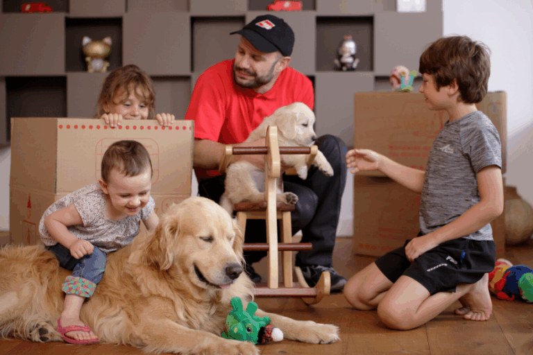 AGS Movers Relocation Companies & Movers Guide In Thailand Little Steps Asia