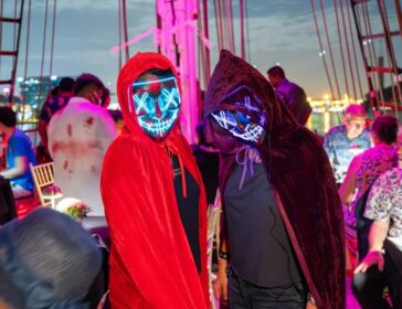 Halloween Sail 2025 Royal Albatross