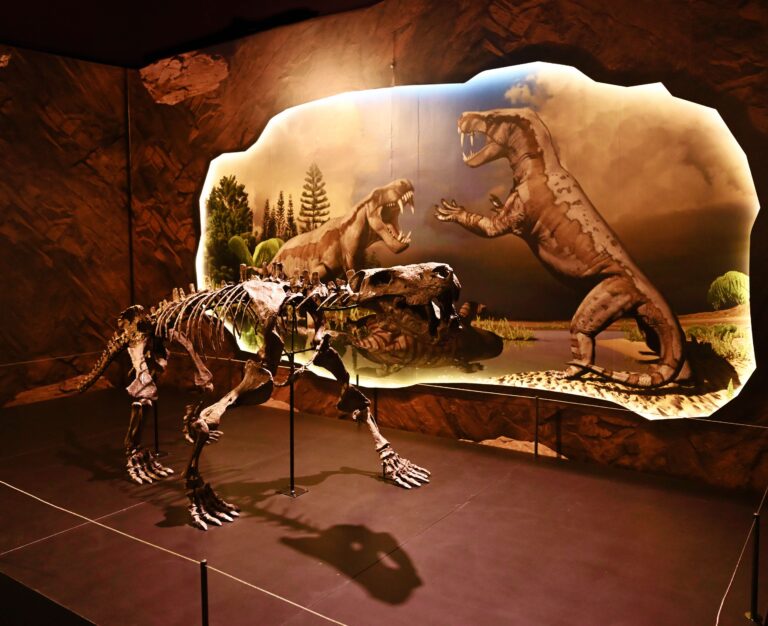 Dino Explorer Pass Science Centre Singapore