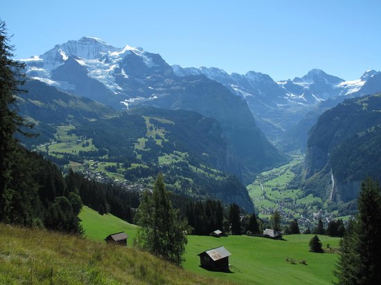 Wengen The Ultimate Family-Friendly Travel Guide For Summer In Switzerland Little Steps Asia