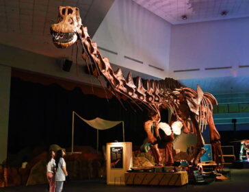 Dino Science Centre Singapore
