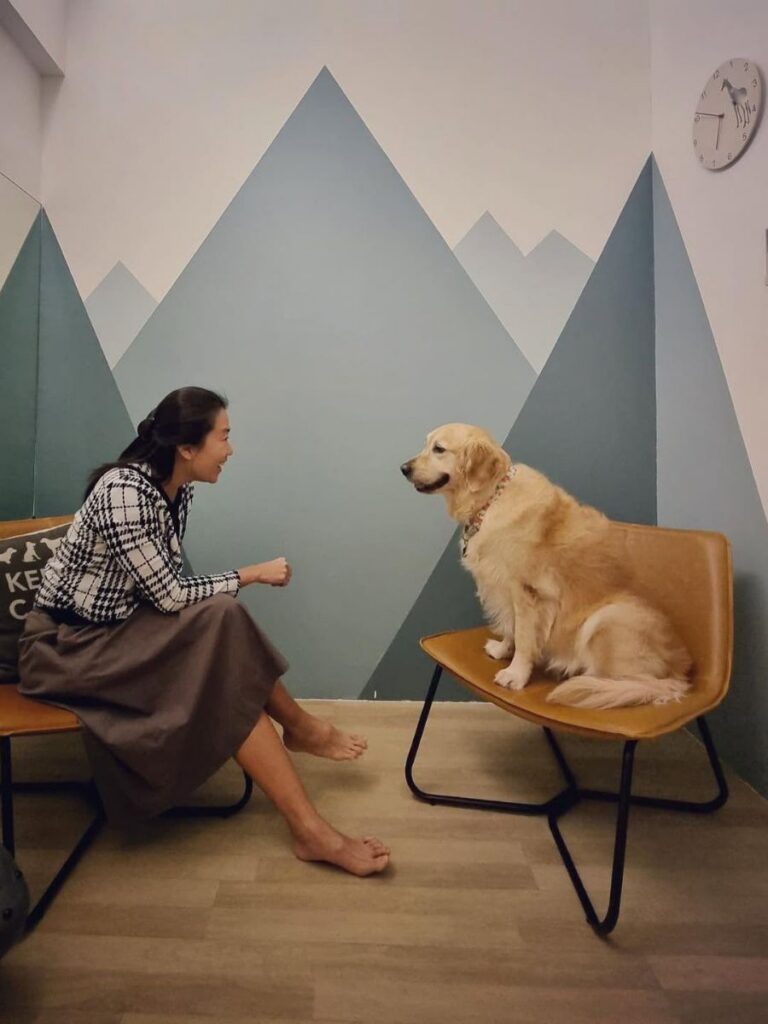 Image of counselor and dog at Pawsibility - counselor singapore