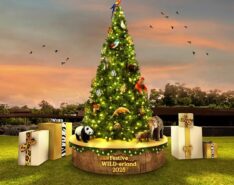 Festive Wild-erland Mandai Wildlife Group 2025 Singapore