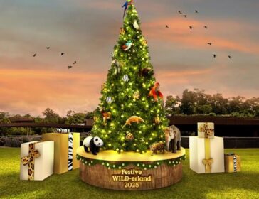Festive WILD-erland At Mandai Wildlife Reserve