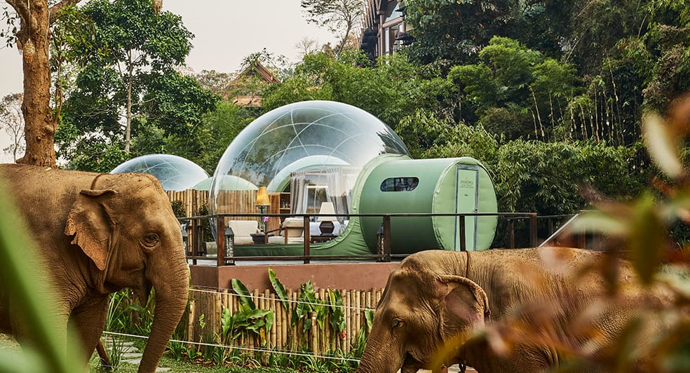 Images of Anantara Bubbles In Thailand
