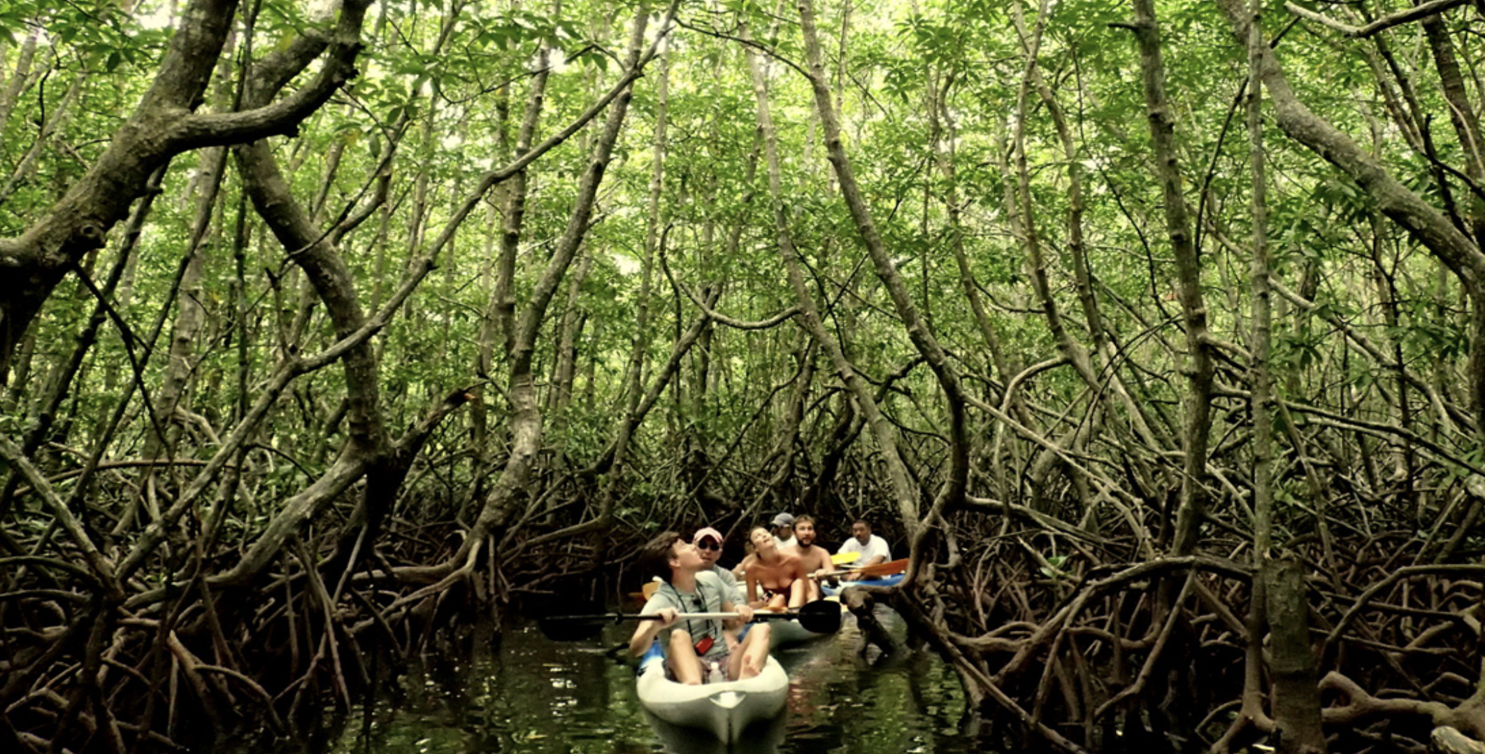 Image of Gaya Island Hotel Malaysia - Kota Kinabalu