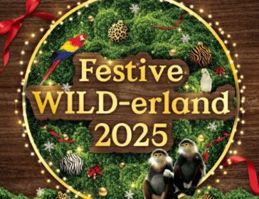Festive Wild-erland At Mandai Wildlife Reserve Singapore