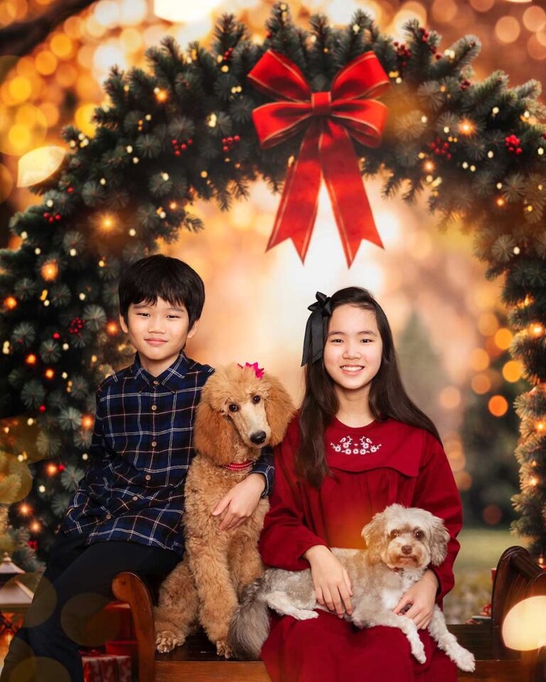 Oh Dear Studio Christmas Mini Sessions 2025 Singapore