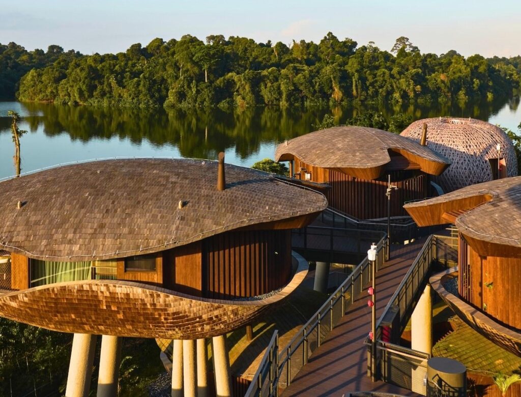 Rainforest Festival 2025 Mandai Rainforest Resort Singapore