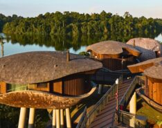 Rainforest Festival 2025 Mandai Rainforest Resort Singapore