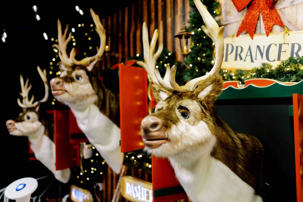 Woodland Reindeer Group - Artist Impression