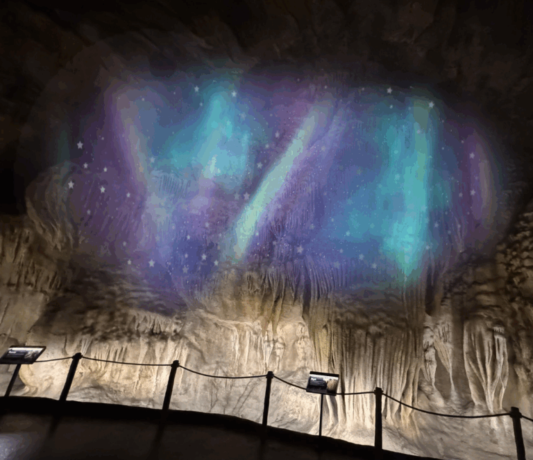 Rainforest Wild ASIA Festive Wild-erland Snowy Cavern Wilderland Singapore