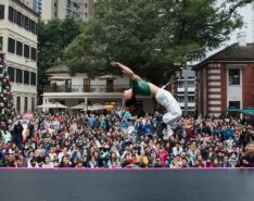Family-Friendly Guide To Circus Plays 2025 At Tai Kwun