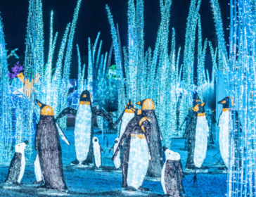 Best Family-Friendly Events In Hong Kong - December 2025