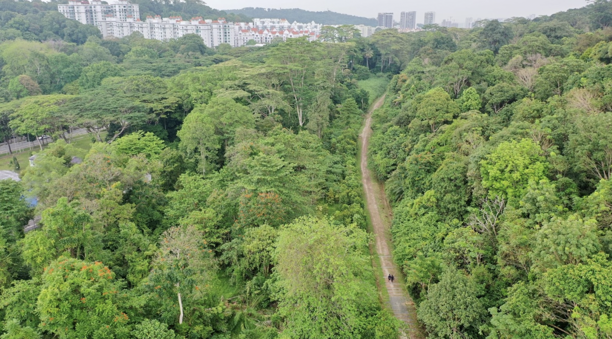 Image of Rail Corridor Singapore
