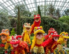 2026 Chinese New Year Events Singapore