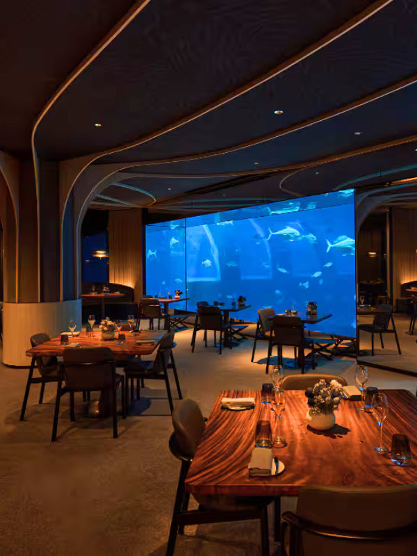 Ocean Restaurant Aquarium View - Little Steps