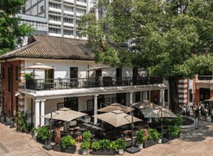 Shiro Central: New Contemporary Japanese Dining In Central, Hong Kong