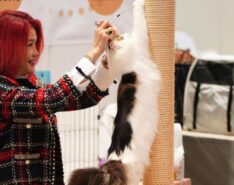 hong kong pet show 2026