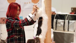 hong kong pet show 2026