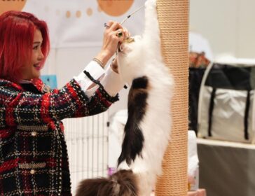 hong kong pet show 2026