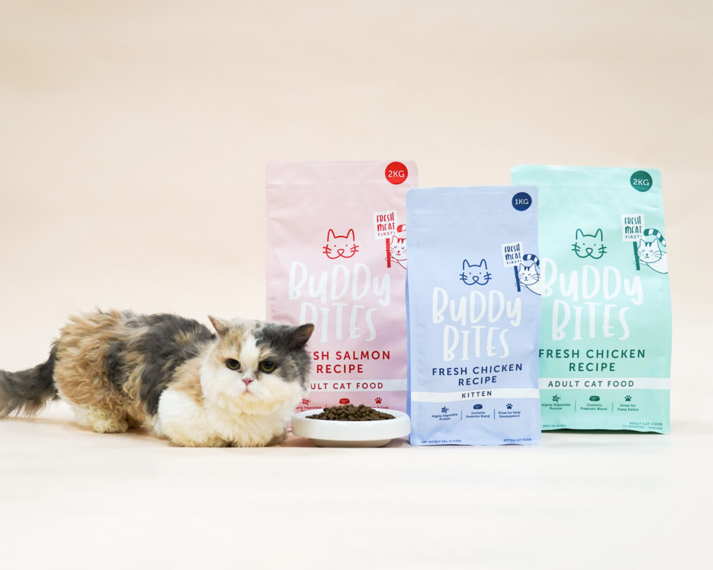 Does Your Cat Have What It Takes To Be Hong Kong’s Next Top Cat Model?