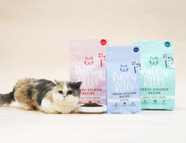 Does Your Cat Have What It Takes To Be Hong Kong’s Next Top Cat Model?