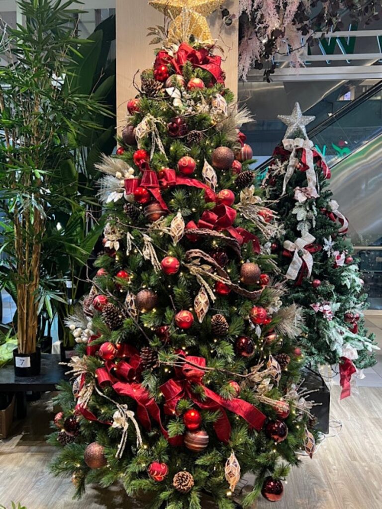 Image of tree from vanda win - Christmas tree Singapore