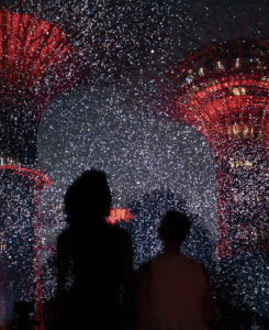 Image of the best attractions for families in singapore 2026