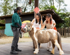 Singapore Zoo Hello From The Wild: Horse 2026