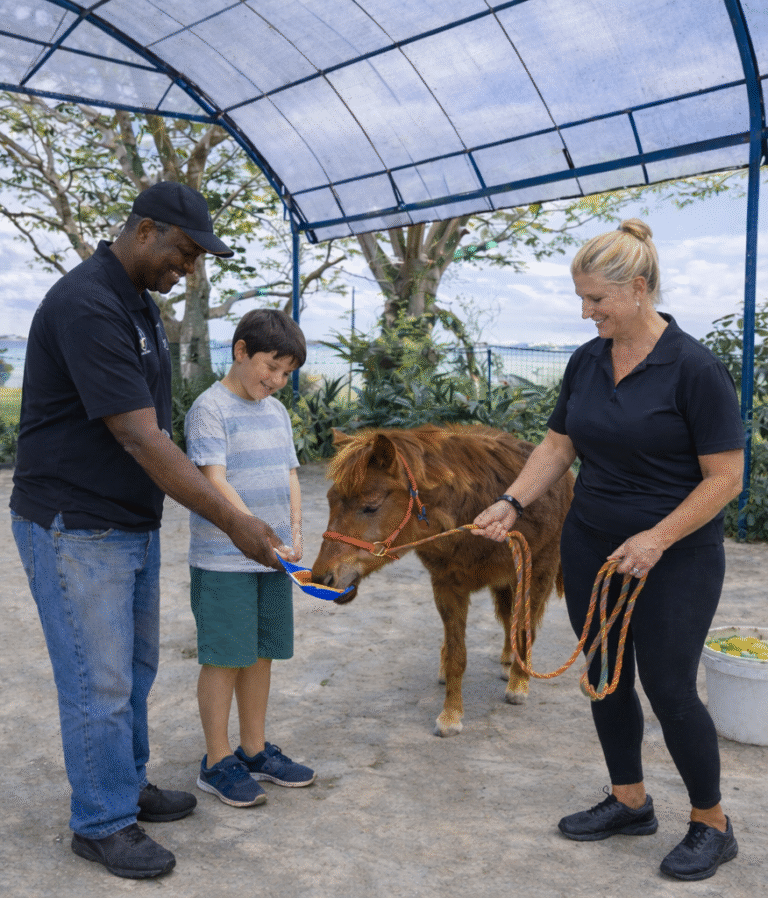 Shangri-La Rasa Sentosa Seaside Pony Experience March 2026 Singapore