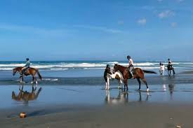 Royal Sporthorse, Bali, Indonesia Top Family-Friendly Horse Riding Destinations And Resorts In Asia