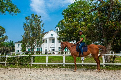 Riders Resort, Kulai, Johor, Malaysia Top Family-Friendly Horse Riding Destinations And Resorts In Asia