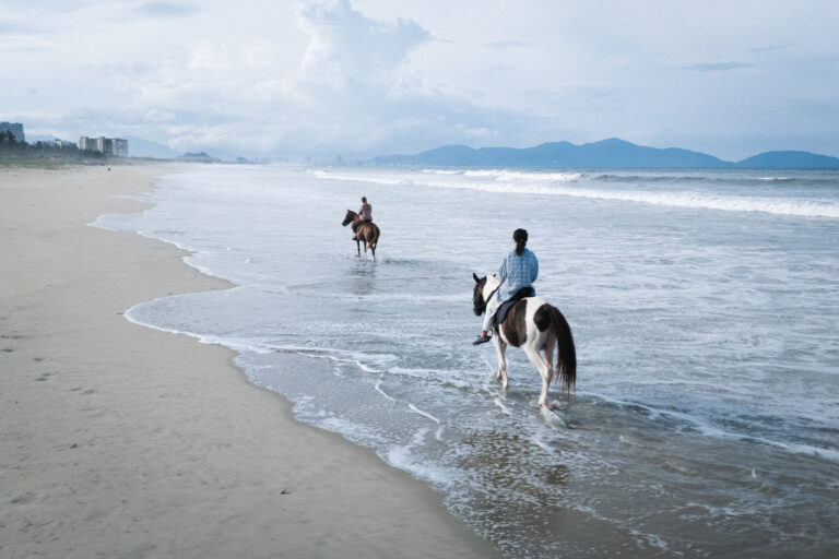 Top Family-Friendly Horse-Riding Destinations And Resorts In Asia Golden Hoof, Hoi An, Vietnam