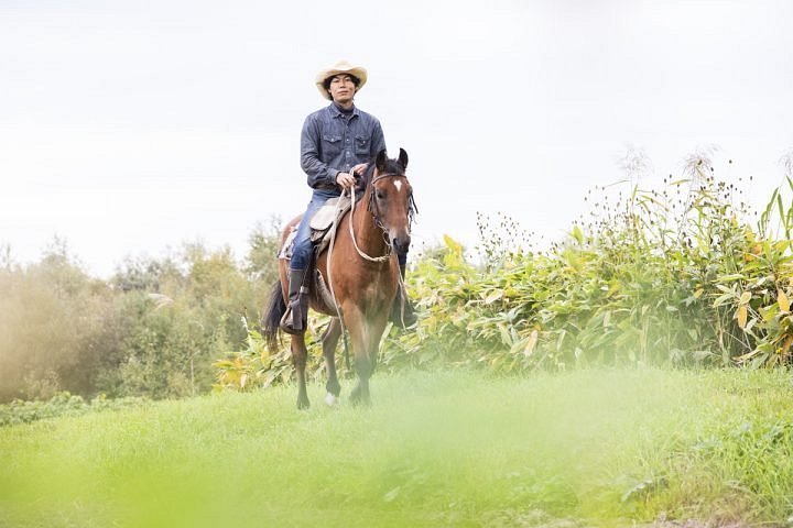 Clark Horse Garden near Asahikawa Japan Top Family-Friendly Horse Riding Destinations And Resorts In Asia