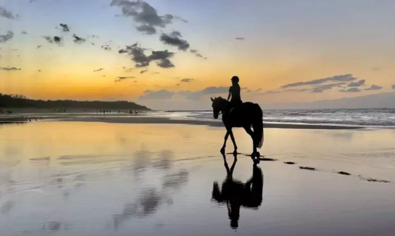 Chuan Chei Equestrian Center, Taichung City, Taiwan Top Family-Friendly Horse-Riding Destinations And Resorts In Asia