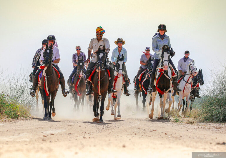 Horse India, Rajasthan Marwari Horse Safaris, Rajasthan, India Top Family-Friendly Horse Riding Destinations And Resorts In Asia
